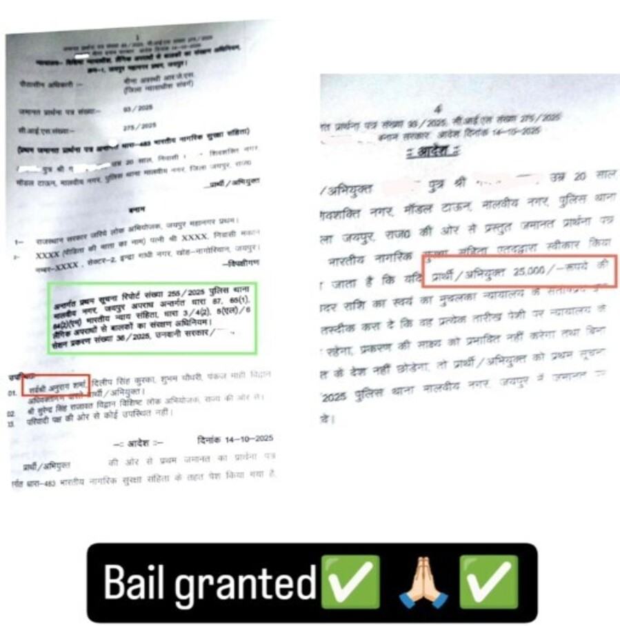 Bail order in POCSO Act case, Malviya Nagar